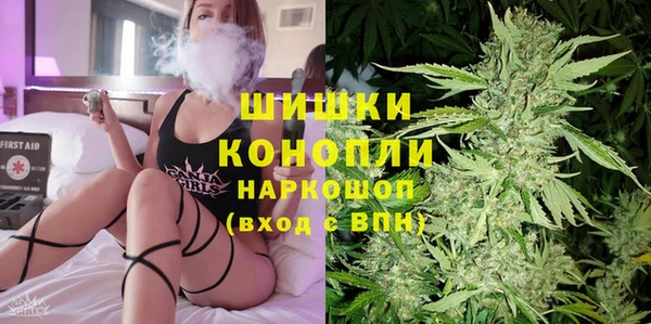 дживик Козельск