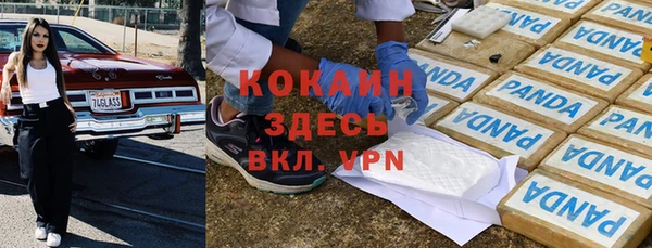 дживик Козельск