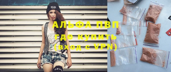 дживик Козельск