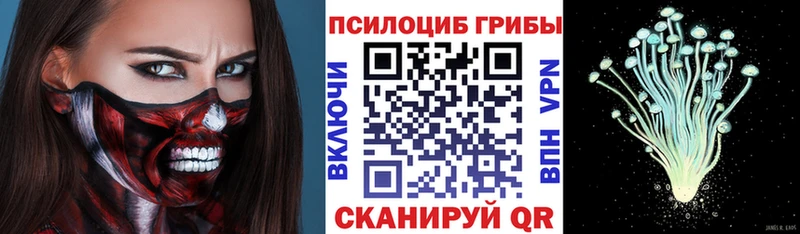 Псилоцибиновые грибы GOLDEN TEACHER  Ессентуки 